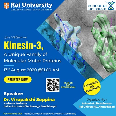 Webinar on kinesin-3 on 13 August 2020